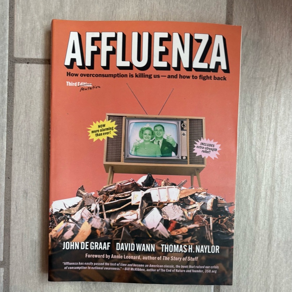 Affluenza: How Overconsumption Is Killing Us And How To Fight Back Book.
